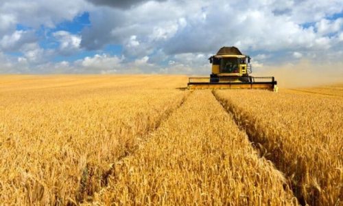 seguro-produtividade